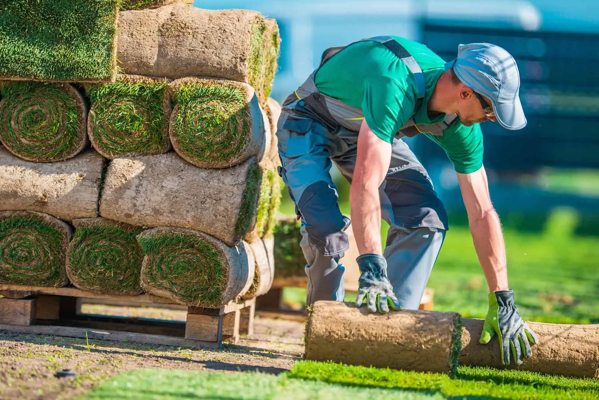 Landscaping Insurance Texas