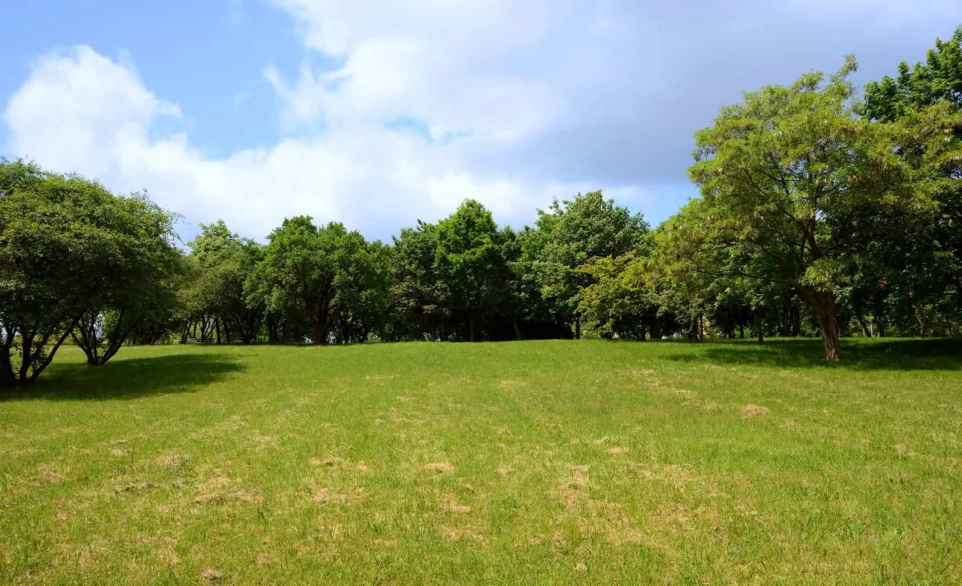 Land Insurance Texas